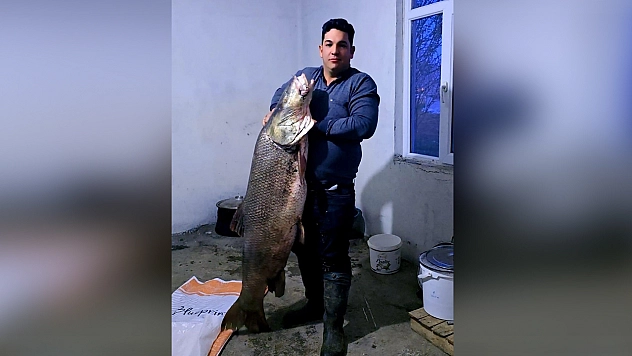 Elazığ'da dev turna balığı yakalandı!