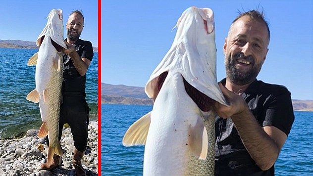 Elazığ'da dev turna balığı yakalandı!