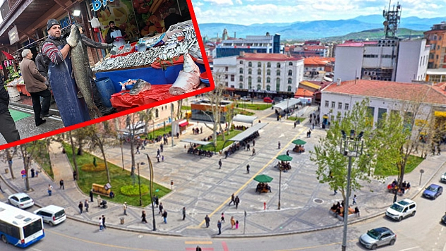 Elazığ'da dev turna balığı yakalandı