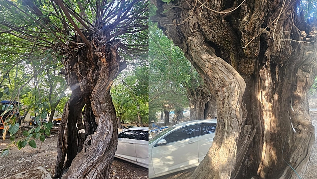 Elazığ'da doğal miras