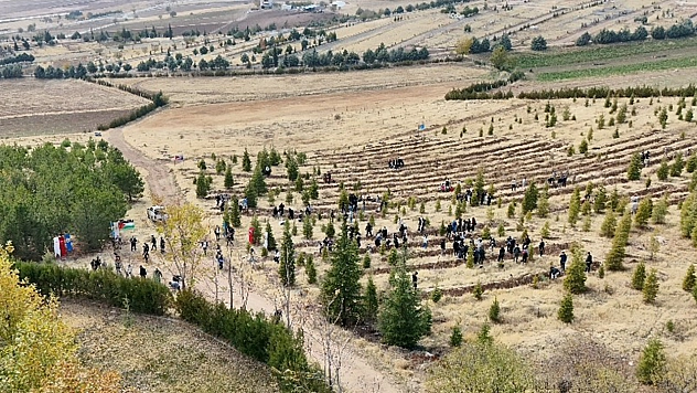 Elazığ'da Doğu Türkistan ve Filistin için anlamlı fidan dikimi