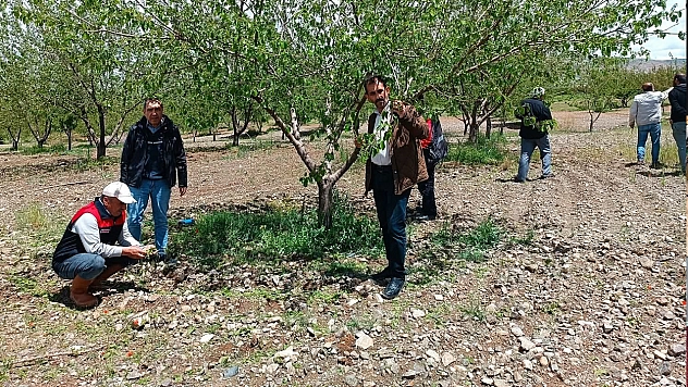 Elazığ'da dolu sonrası hasar tespiti yapıldı