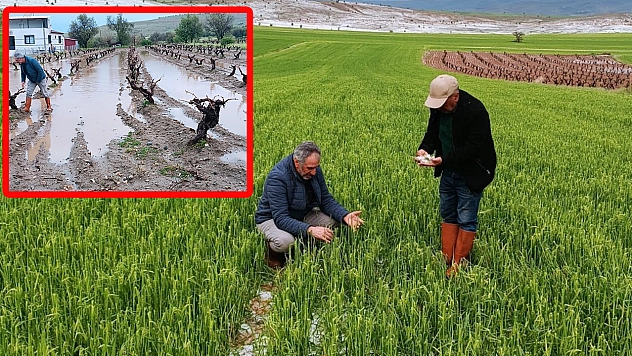 Elazığ'da dolu sonrası sahada inceleme: Tarım alanlarında hasar tespiti başladı