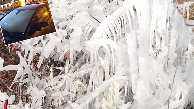 Elazığ'da don etkisini gösterdi