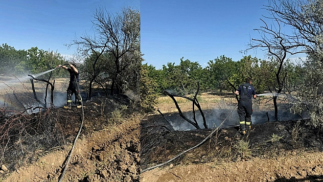 Elazığ'da Dün Çıkan Toplam Yangın Sayısını  Görenler Şok Oldu!