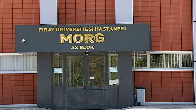 Elazığ'da facia! Yeğeni tarafından darbedilen yaşlı adam hayatını kaybetti