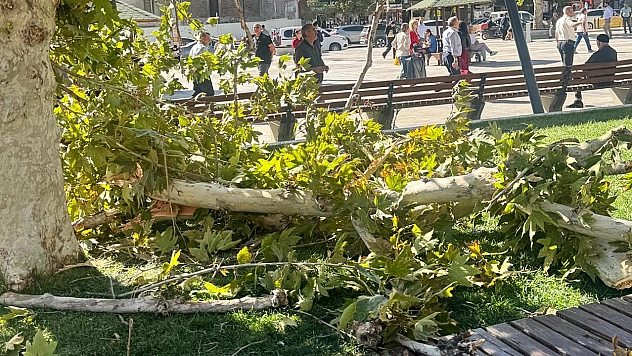 Elazığ'da faciaya ramak kaldı