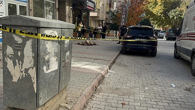 Elazığ'da feci ölüm!