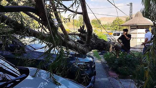 Elazığ'da fırtına dehşeti: 2 Araç hasar gördü