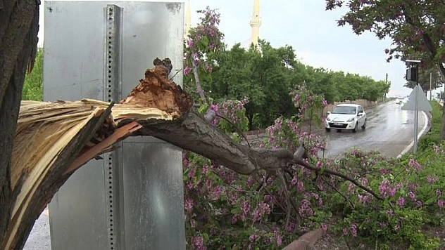 Elazığ'da Fırtına Sonrası Çatılar Uçtu, Ağaçlar Devrildi