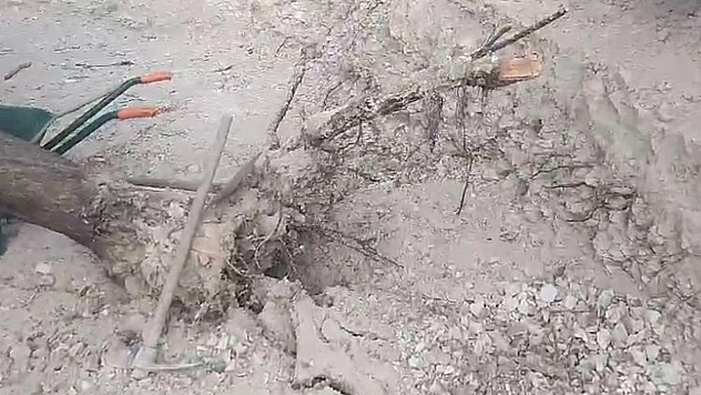 Elazığ'da Fırtınanın Etkisi