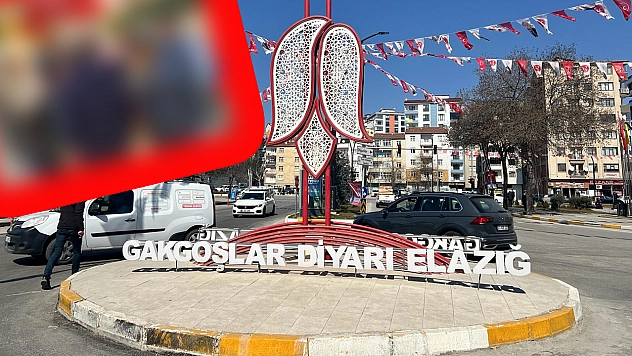 Elazığ'da fiyatı düştü vatandaşlar tezgaha akın etti