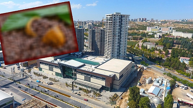 Elazığ'da Fiyatlar Yükselecek!