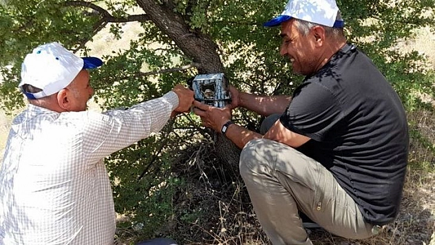 Elazığ'da Fotokapanların Bakımı Yapıldı