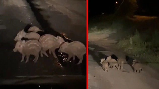 Elazığ'da gece yarısı yola indiler! O anlar kamerada