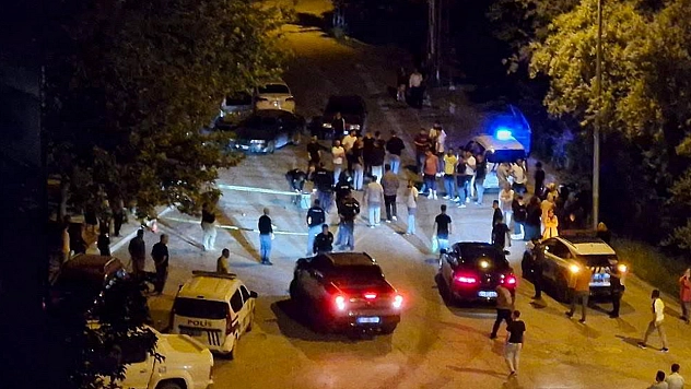 Elazığ'da gecenin sessizliğini silah sesleri bozdu