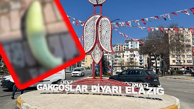 Elazığ'da görenler şaşırdı: Tam 4,5 kilo