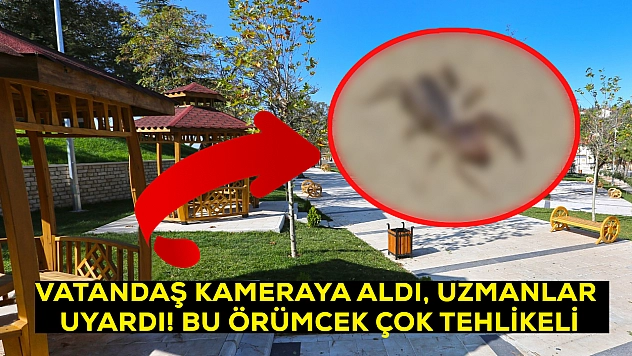 Elazığ'da görüldü! Et yiyen örümcek olarak biliniyor: Zehrine karşı uyarı geldi