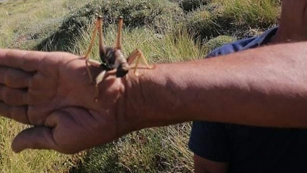 Elazığ'da Görüntülenmeye Devam Ediyorlar!