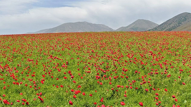 Elazığ'da hava bugün nasıl olacak? (30.07.2026)