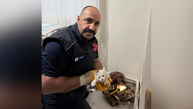 Elazığ'da havalandırma boşluğuna düşen yavru kedi kurtarıldı