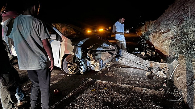 Elazığ'da hayvana çarpmamak için manevra yapan araç duvara çarptı