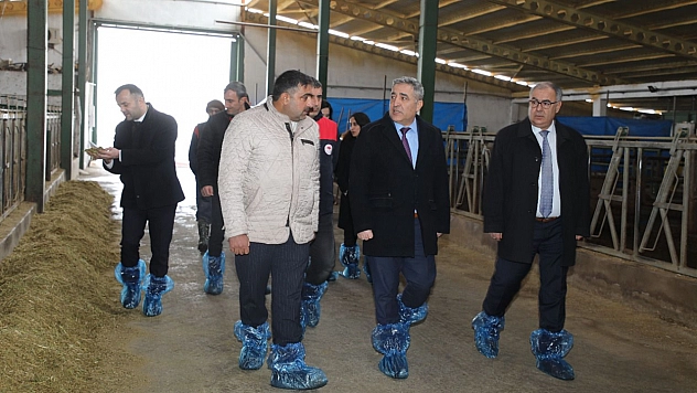 Elazığ'da hayvancılık altyapısı yerinde incelendi