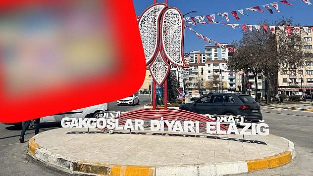 Elazığ'da hem gençlerin hem de annelerin yeni hobisi
