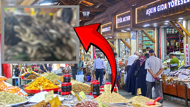 Elazığ'da herkes onu topluyor: Tezgahta fiyatı 200 lira!