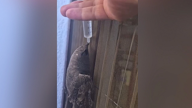 Elazığ'da iç ısıtan görüntü