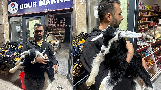 Elazığ'da ilginç anlar