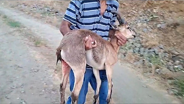 Elazığ'da insanlık ölmemiş dedirten davranış