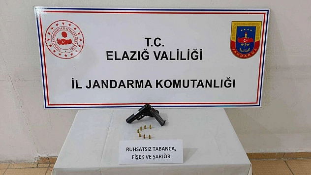 Elazığ'da jandarmadan uyuşturucu ve silah baskını: 2 tutuklama