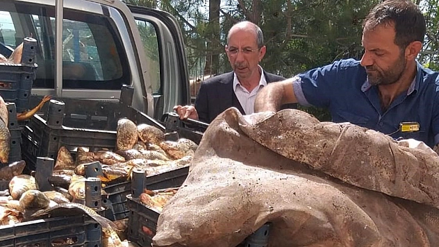 Elazığ'da kaçak avlanan 700 kilogram balık ele geçirildi