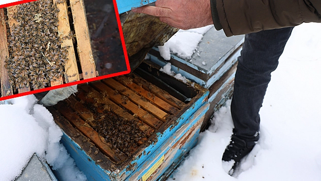 Elazığ'da kar yağışı arıcılara umut oldu