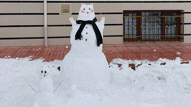 Elazığ'da kardan adam mesaisi başladı