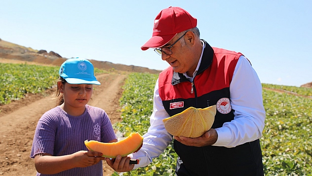 Elazığ'da kavun hasadı başladı! 8 bin dekarda 19 bin ton rekolte bekleniyor