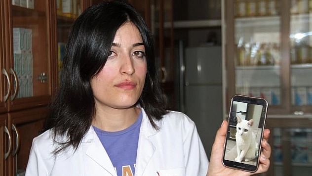 Elazığ'da Kaybolan Kedisini Sokak Sokak Arıyor