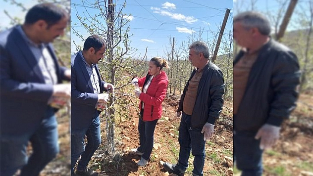 Elazığ'da Kayısı Ve Elma Entegre Bahçeleri Kontrol Edildi