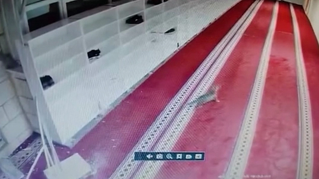 Elazığ'da kedinin tehlikeli anı kamerada