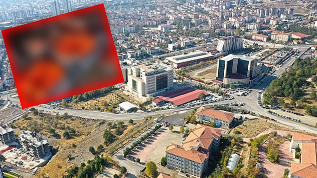 Elazığ'da kilosu 15 liradan satıldı poşet poşet alındı