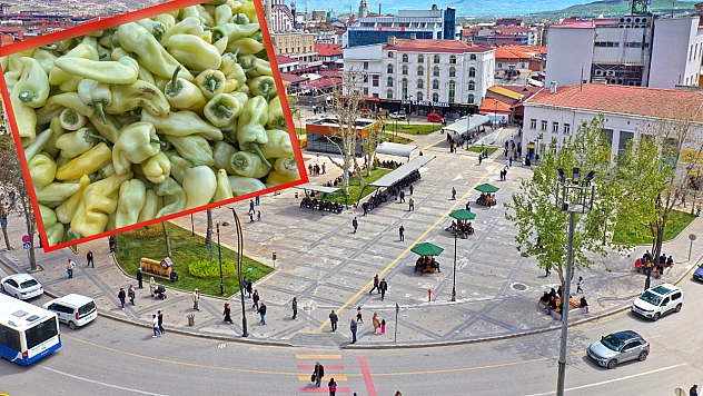 Elazığ'da kilosu 15 liraya düştü, vatandaşlar kapıştı