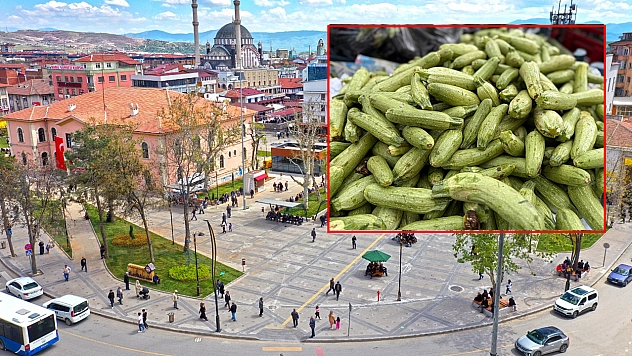 Elazığ'da kilosu 30 lira oldu yetişen aldı