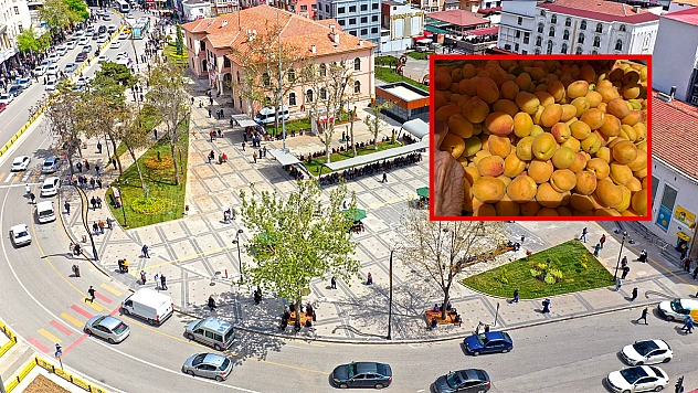 Elazığ'da kilosu 75 liradan satıldı poşet poşet alındı
