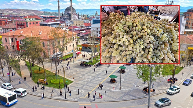 Elazığ'da kilosu 75 liradan satıldı poşet poşet alındı