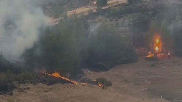 Elazığ'da kırsal alan yangın çıktı