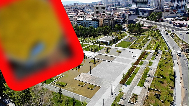 Elazığ'da kırsal alanda kendiliğinden yetişen şifa