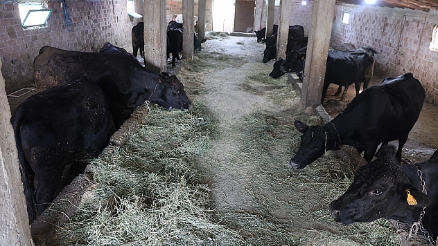 Elazığ'da 'Kırsalda Bereket' projesi ilk sonuçlarını verdi