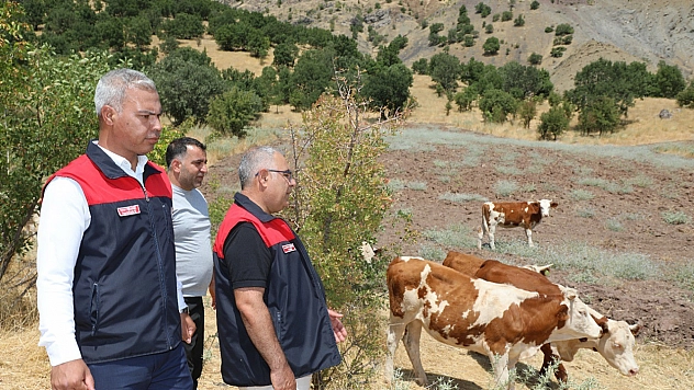 Elazığ'da kırsalda bereket projesi üreticilere destek oluyor