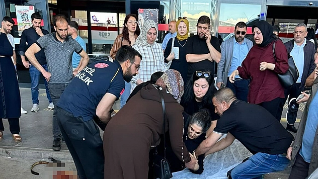 Elazığ'da köpek dehşeti! Saldırıya uğrayan kadın yaralandı